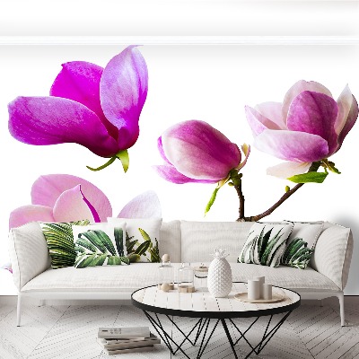 Mural de parede Flores de magnólia