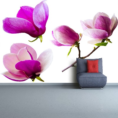 Mural de parede Flores de magnólia