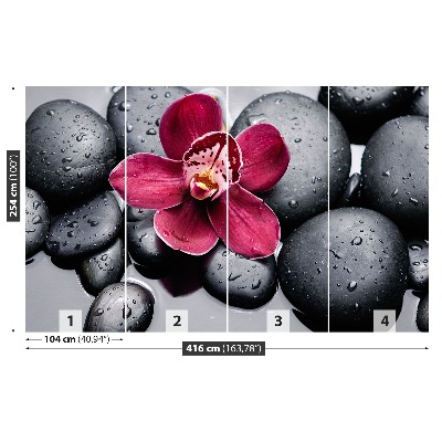 Papel de parede Pedras de orquídea