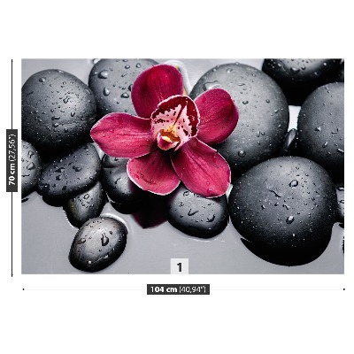 Papel de parede Pedras de orquídea