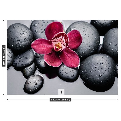 Papel de parede Pedras de orquídea