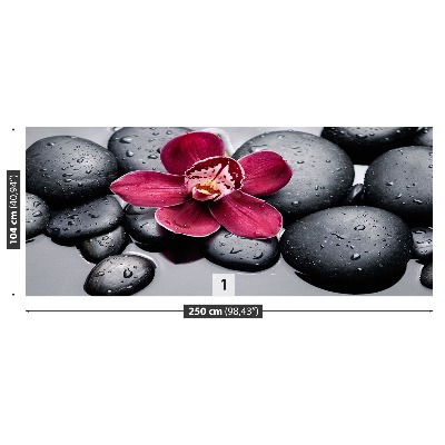 Papel de parede Pedras de orquídea