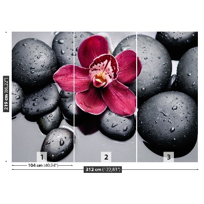 Papel de parede Pedras de orquídea