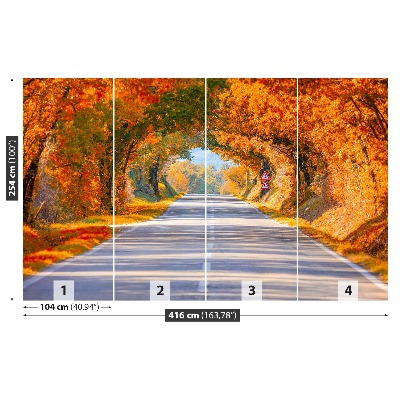 Papel de parede Estrada no outono