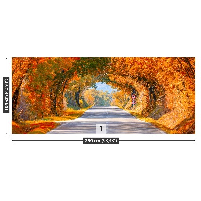 Papel de parede Estrada no outono