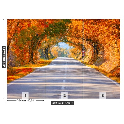 Papel de parede Estrada no outono