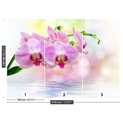Papel de parede Orquídea Rosa