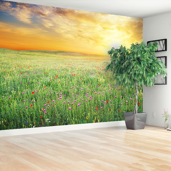 Papel de parede Prado de primavera