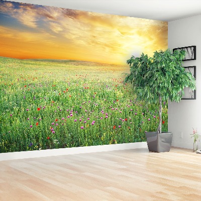 Papel de parede Prado de primavera