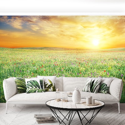 Papel de parede Prado de primavera