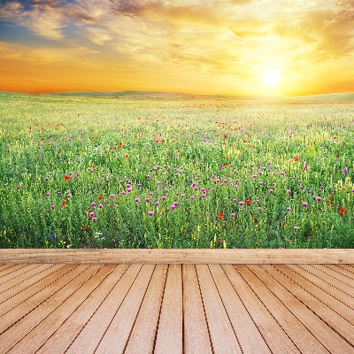 Papel de parede Prado de primavera