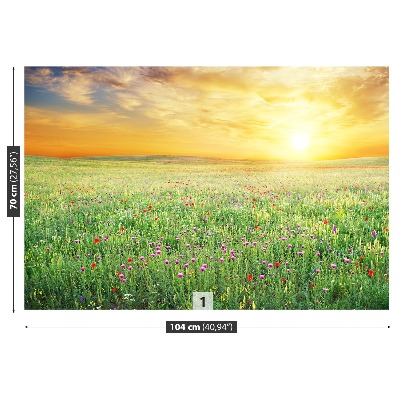 Papel de parede Prado de primavera