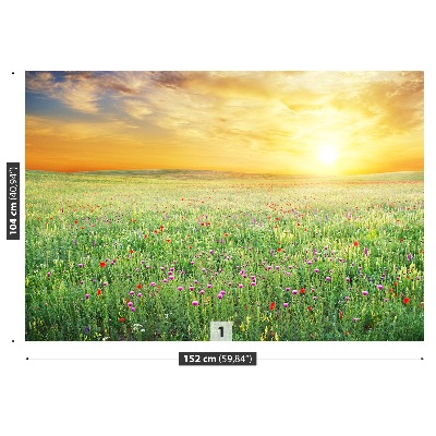 Papel de parede Prado de primavera