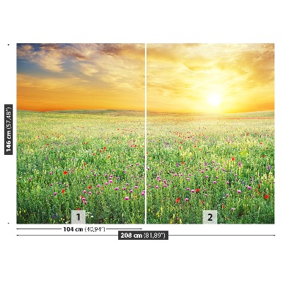 Papel de parede Prado de primavera