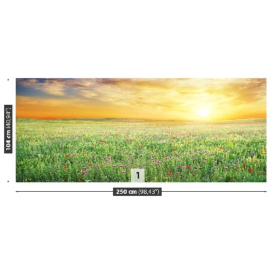 Papel de parede Prado de primavera