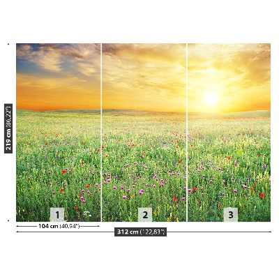 Papel de parede Prado de primavera