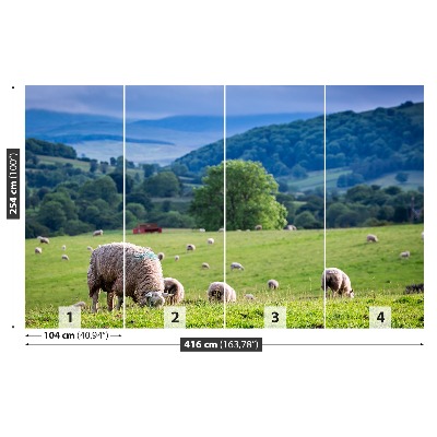 Mural de parede Um rebanho de ovelhas