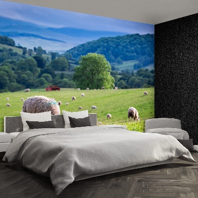 Mural de parede Um rebanho de ovelhas