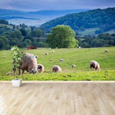 Mural de parede Um rebanho de ovelhas