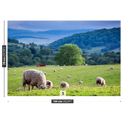 Mural de parede Um rebanho de ovelhas