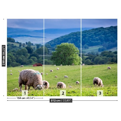 Mural de parede Um rebanho de ovelhas