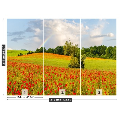 Papel de parede Papoulas arco-íris