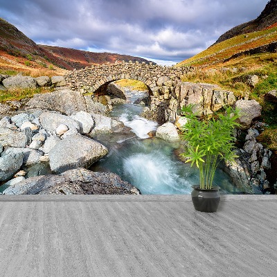 Mural de parede Rio da Ponte