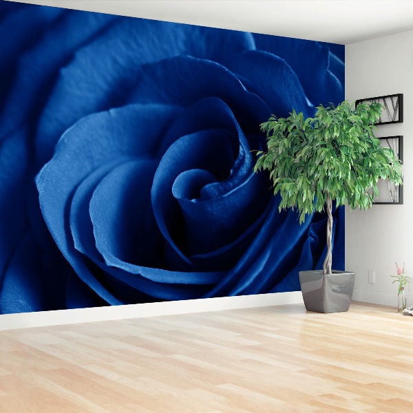Papel de parede Rosa Azul