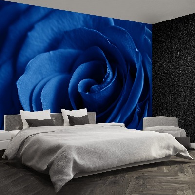 Papel de parede Rosa Azul