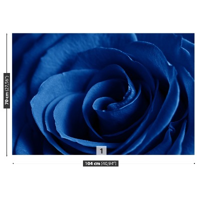 Papel de parede Rosa Azul