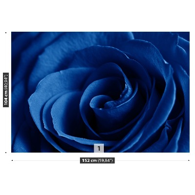 Papel de parede Rosa Azul