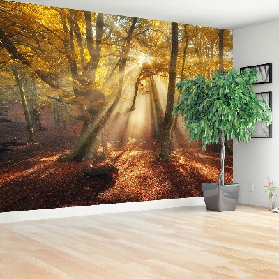 Papel de parede Floresta mágica