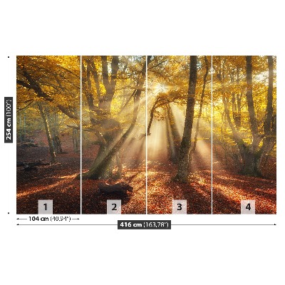 Papel de parede Floresta mágica