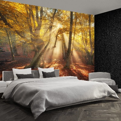 Papel de parede Floresta mágica