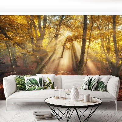 Papel de parede Floresta mágica