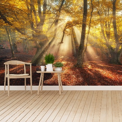 Papel de parede Floresta mágica