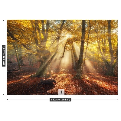 Papel de parede Floresta mágica