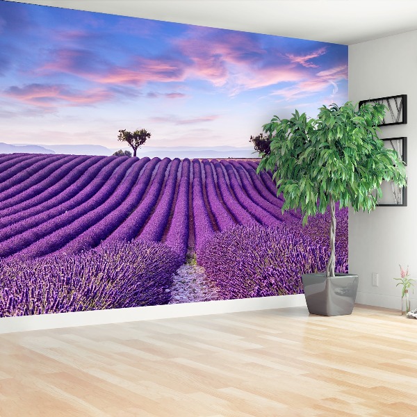 Mural de parede Campo de lavanda