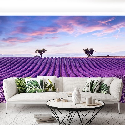 Mural de parede Campo de lavanda