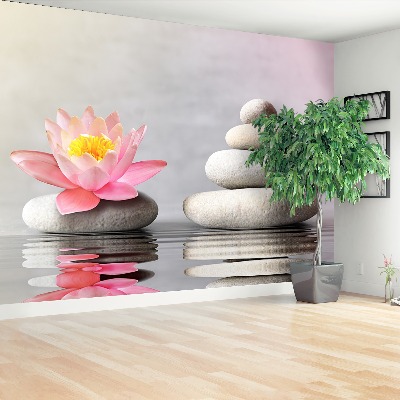 Papel de parede Pedras de spa