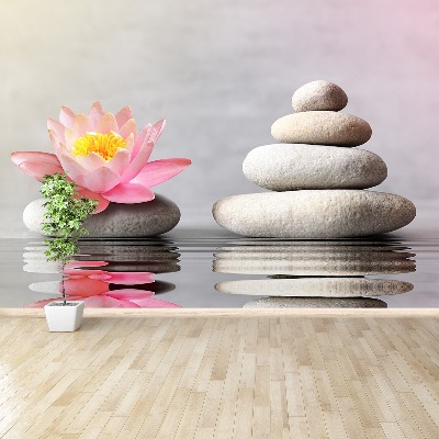 Papel de parede Pedras de spa