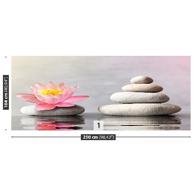 Papel de parede Pedras de spa