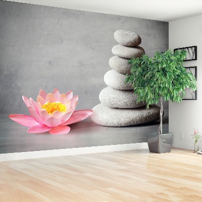 Mural de parede Pedras de nenúfar