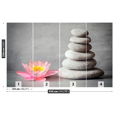 Mural de parede Pedras de nenúfar