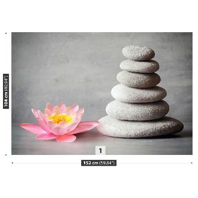 Mural de parede Pedras de nenúfar