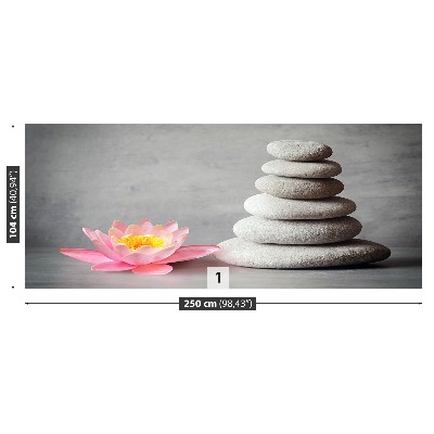 Mural de parede Pedras de nenúfar