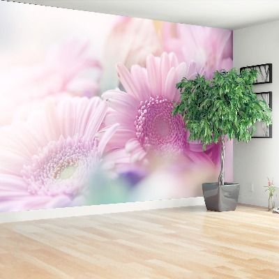 Papel de parede flores rosas