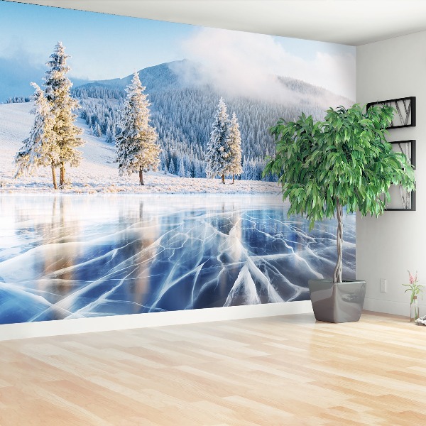 Mural de parede Lago congelado