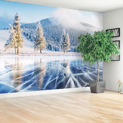 Mural de parede Lago congelado