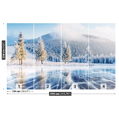 Mural de parede Lago congelado